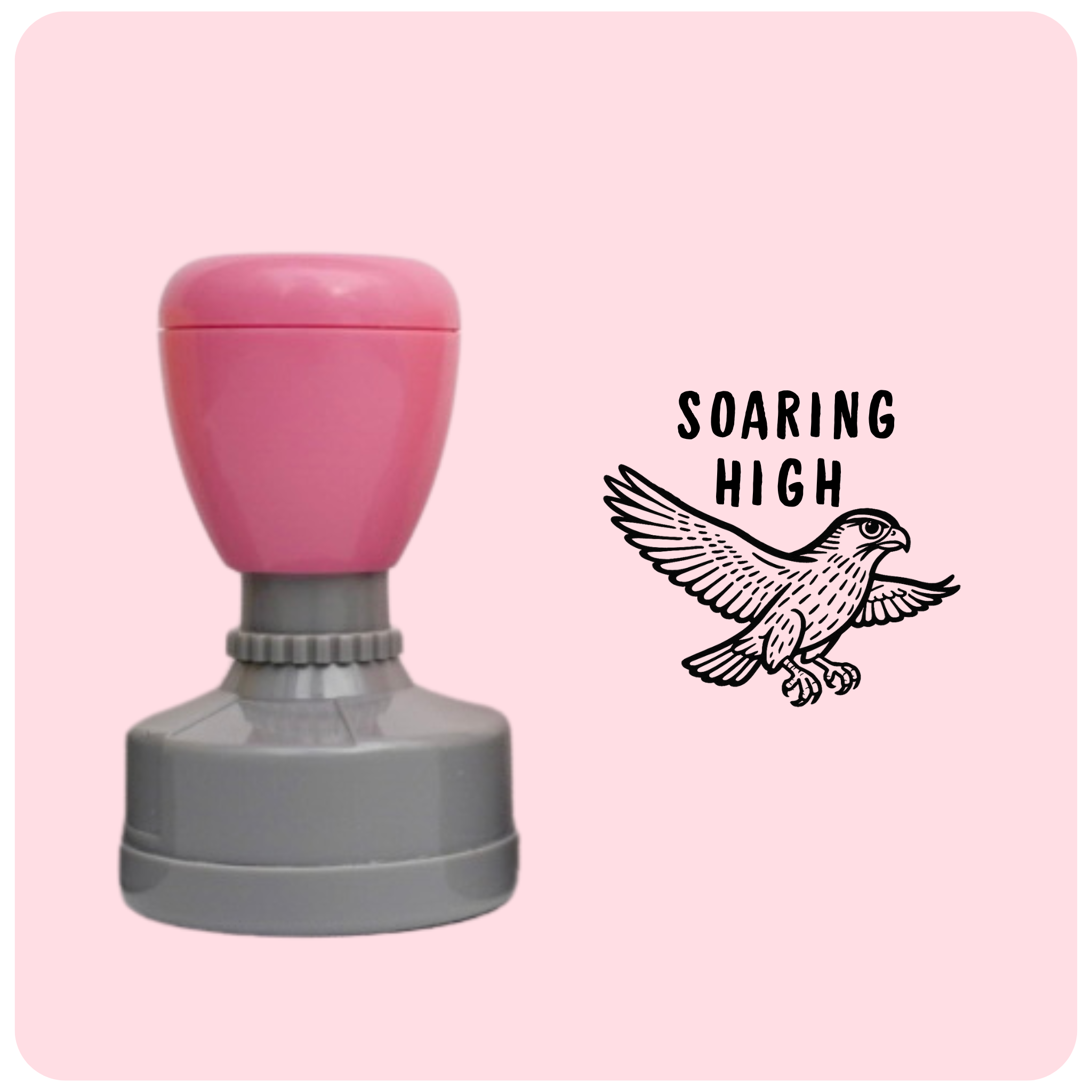 Soaring High Kārearea